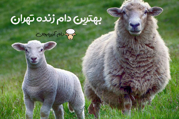 مرکز دام بهداشتی در تهران